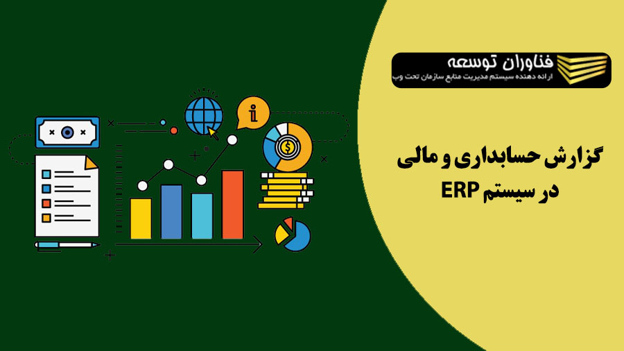 گزارش های حسابداری و مالی در ERP