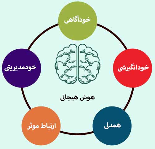 تاثیرات هوش هیجانی بالا در کارکنان